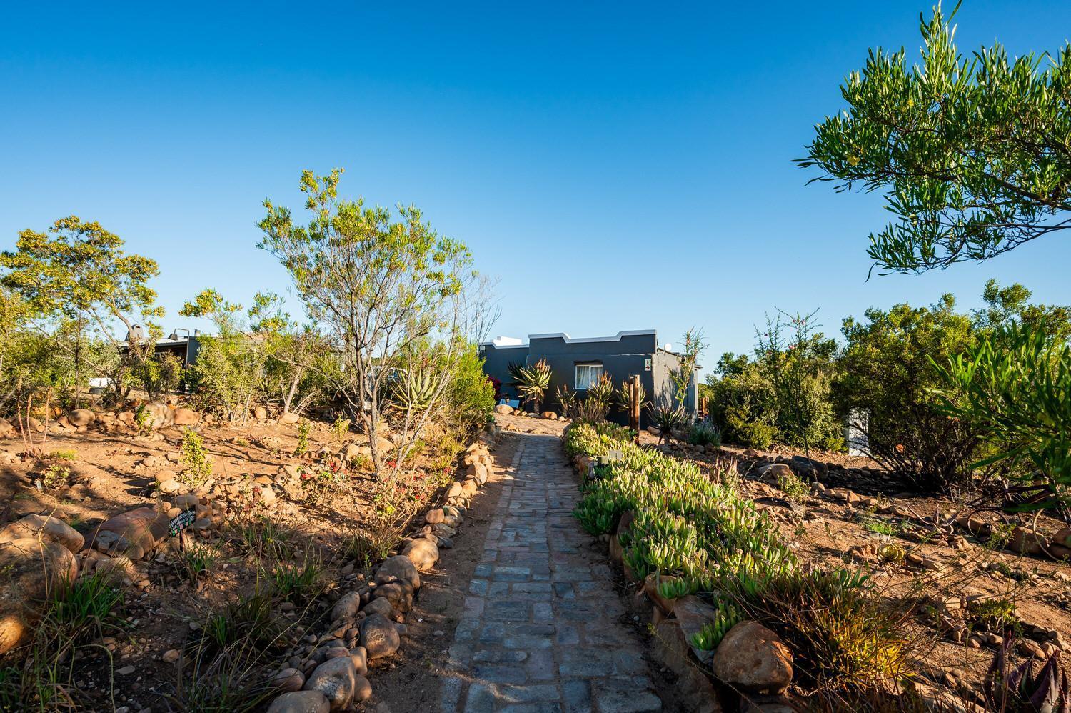 Bed and Breakfast Le Petit Karoo Ranch Oudtshoorn Esterno foto