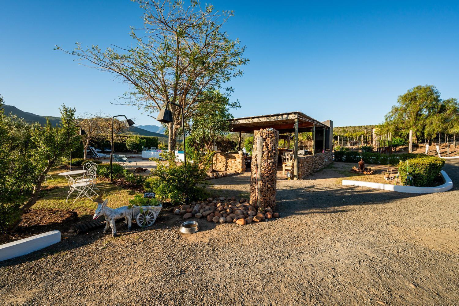 Bed and Breakfast Le Petit Karoo Ranch Oudtshoorn Esterno foto