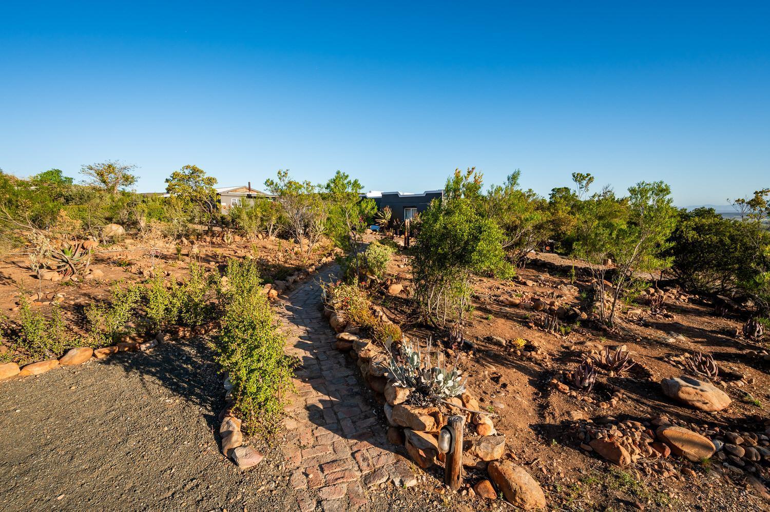 Bed and Breakfast Le Petit Karoo Ranch Oudtshoorn Esterno foto
