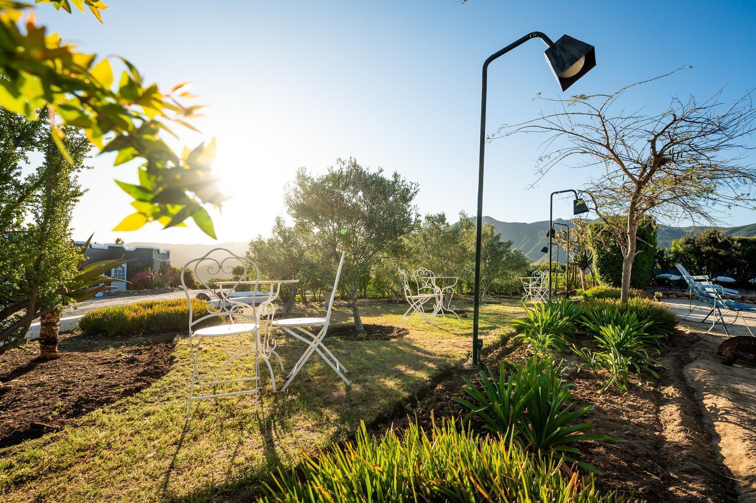 Bed and Breakfast Le Petit Karoo Ranch Oudtshoorn Esterno foto