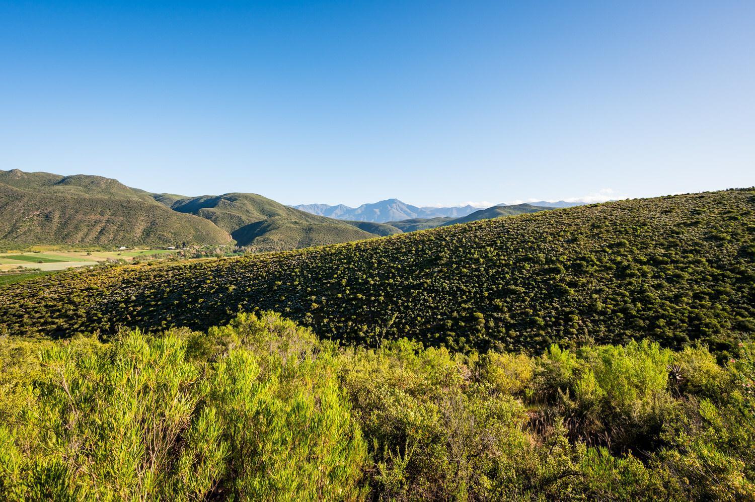 Bed and Breakfast Le Petit Karoo Ranch Oudtshoorn Esterno foto