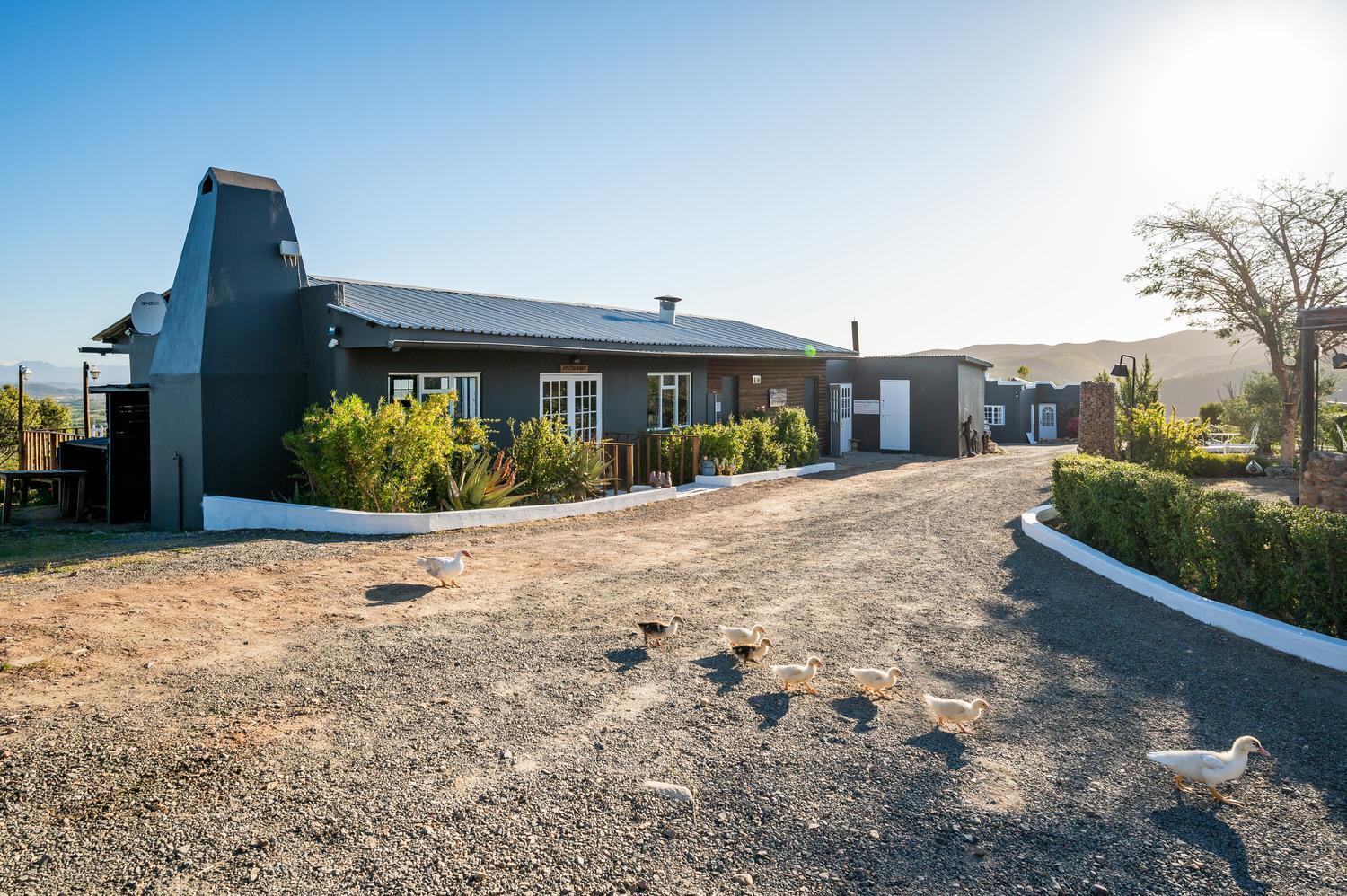 Bed and Breakfast Le Petit Karoo Ranch Oudtshoorn Esterno foto