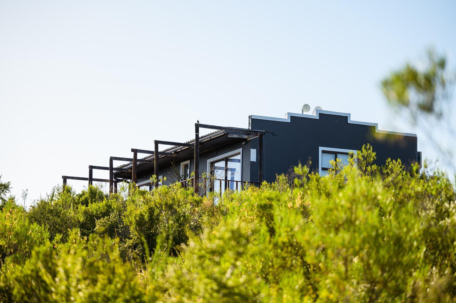 Bed and Breakfast Le Petit Karoo Ranch Oudtshoorn Esterno foto