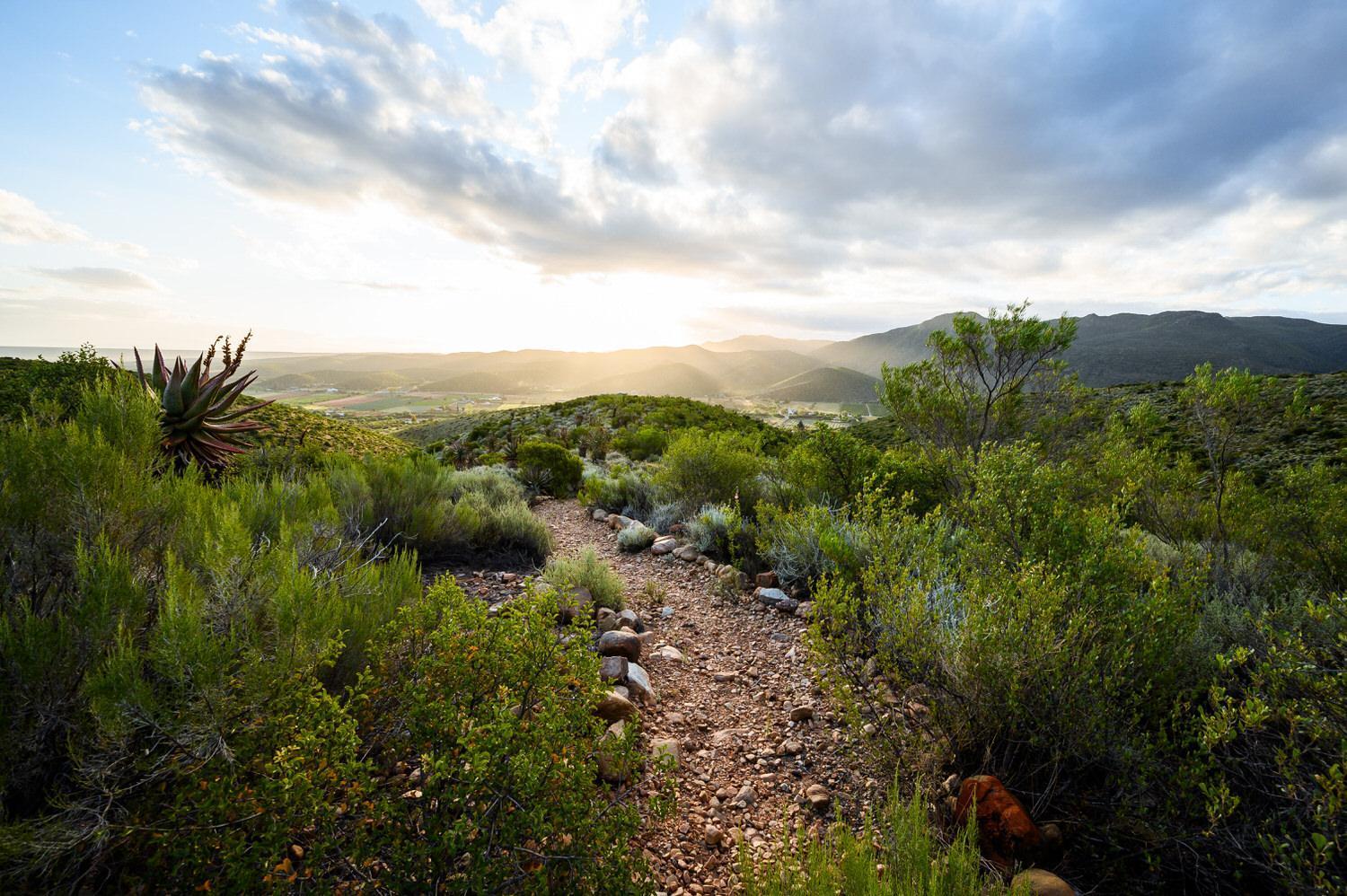 Bed and Breakfast Le Petit Karoo Ranch Oudtshoorn Esterno foto