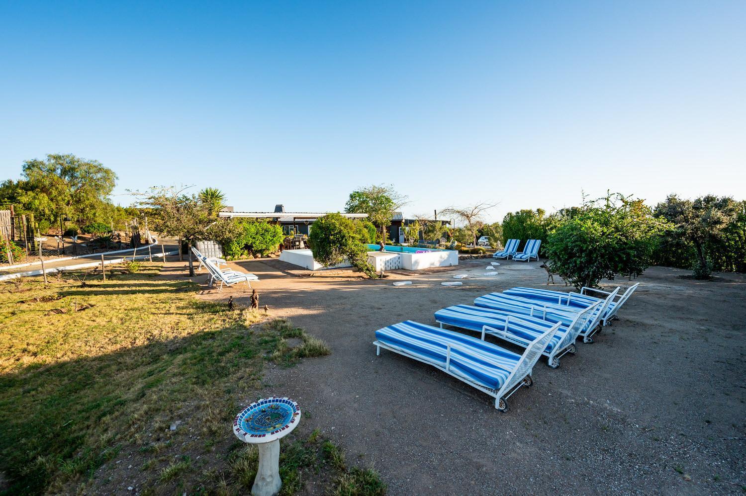Bed and Breakfast Le Petit Karoo Ranch Oudtshoorn Esterno foto