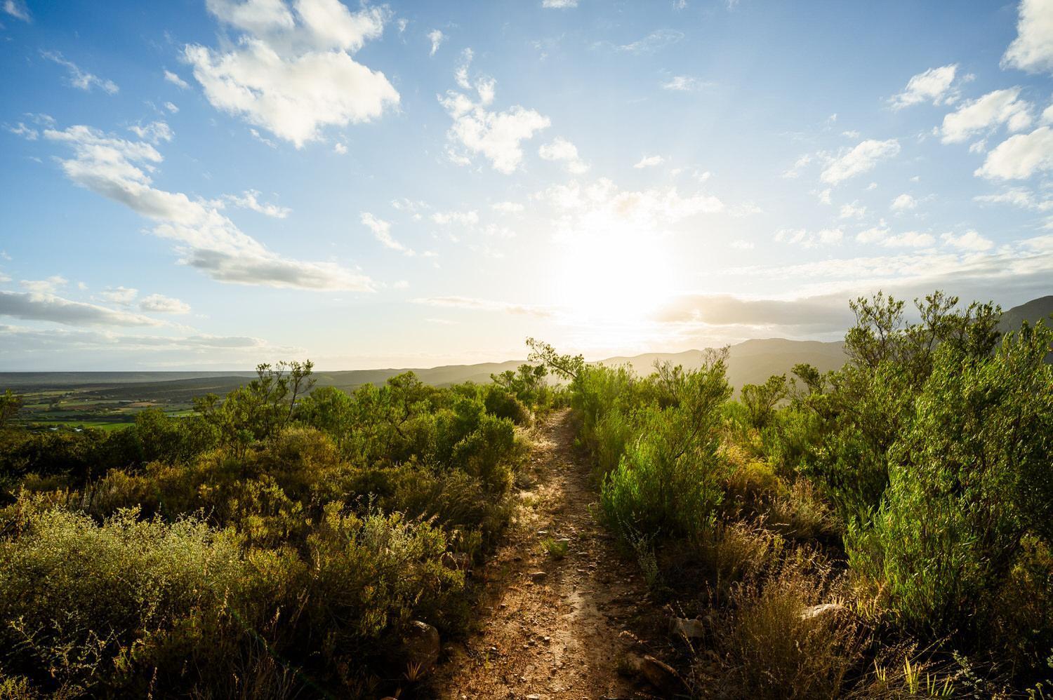 Bed and Breakfast Le Petit Karoo Ranch Oudtshoorn Esterno foto