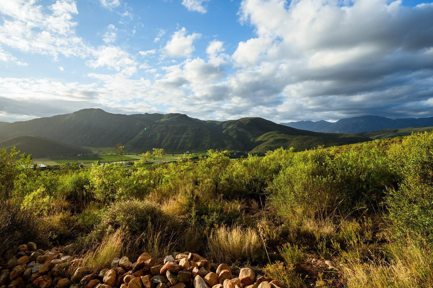 Bed and Breakfast Le Petit Karoo Ranch Oudtshoorn Esterno foto