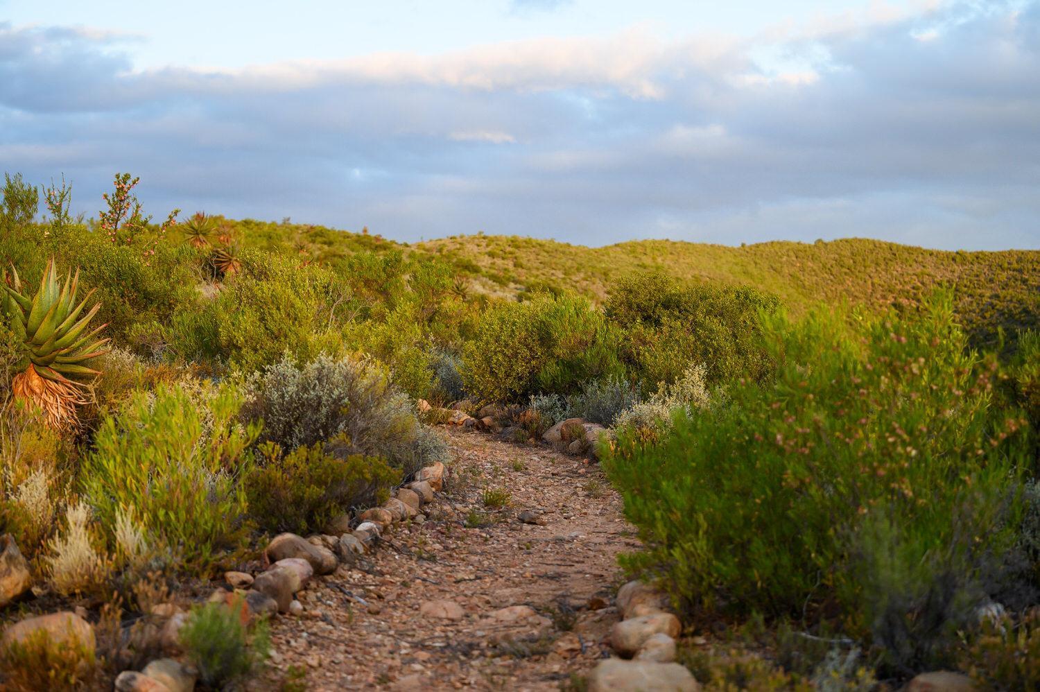 Bed and Breakfast Le Petit Karoo Ranch Oudtshoorn Esterno foto