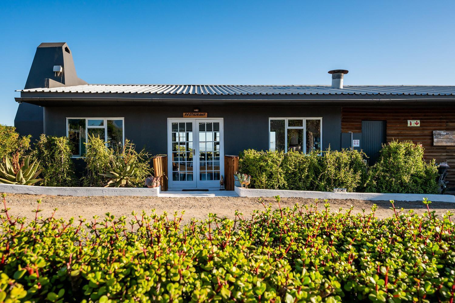 Bed and Breakfast Le Petit Karoo Ranch Oudtshoorn Esterno foto